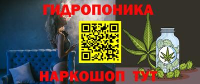 шишки Ирбит