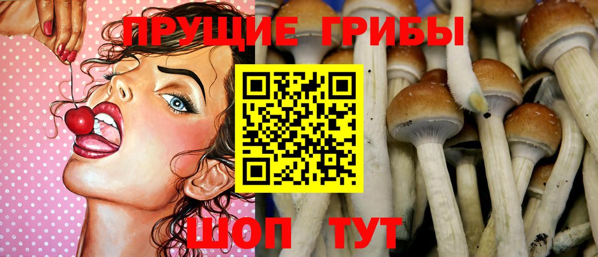 Геленджик  Галлюциногенные грибы Magic Shrooms  Псилоцибиновые грибы Cubensis  продажа наркотиков  Вход с VPN 