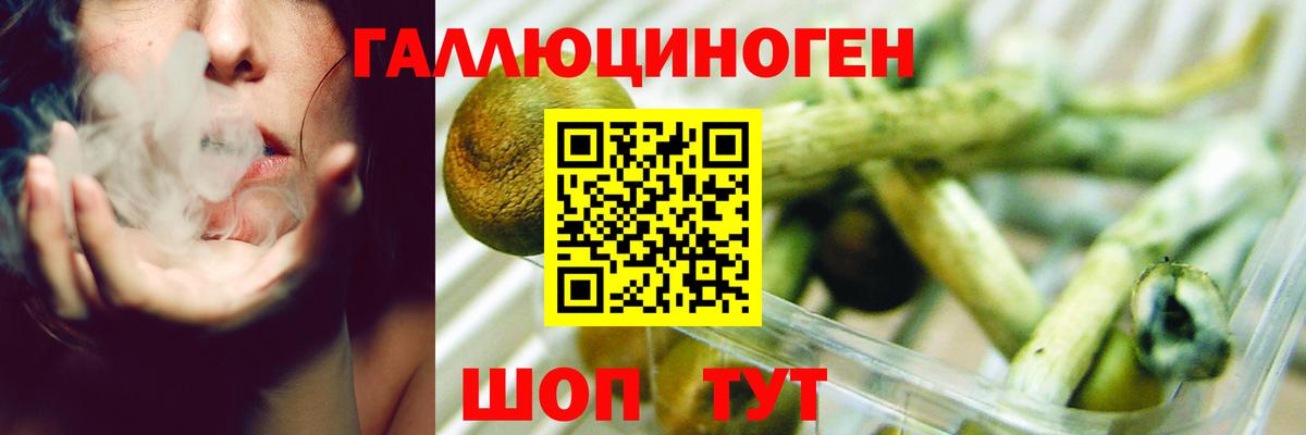 Галлюциногенные грибы MAGIC MUSHROOMS Геленджик
