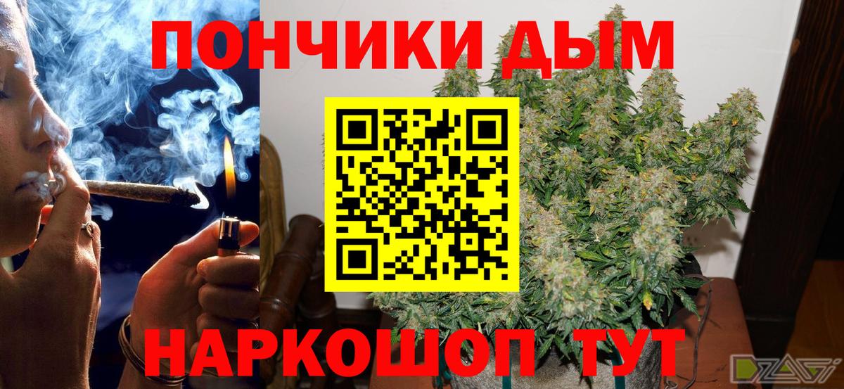 Конопля планчик Геленджик